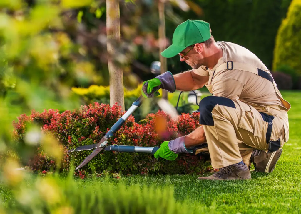 Landscaping with Sprout Pay