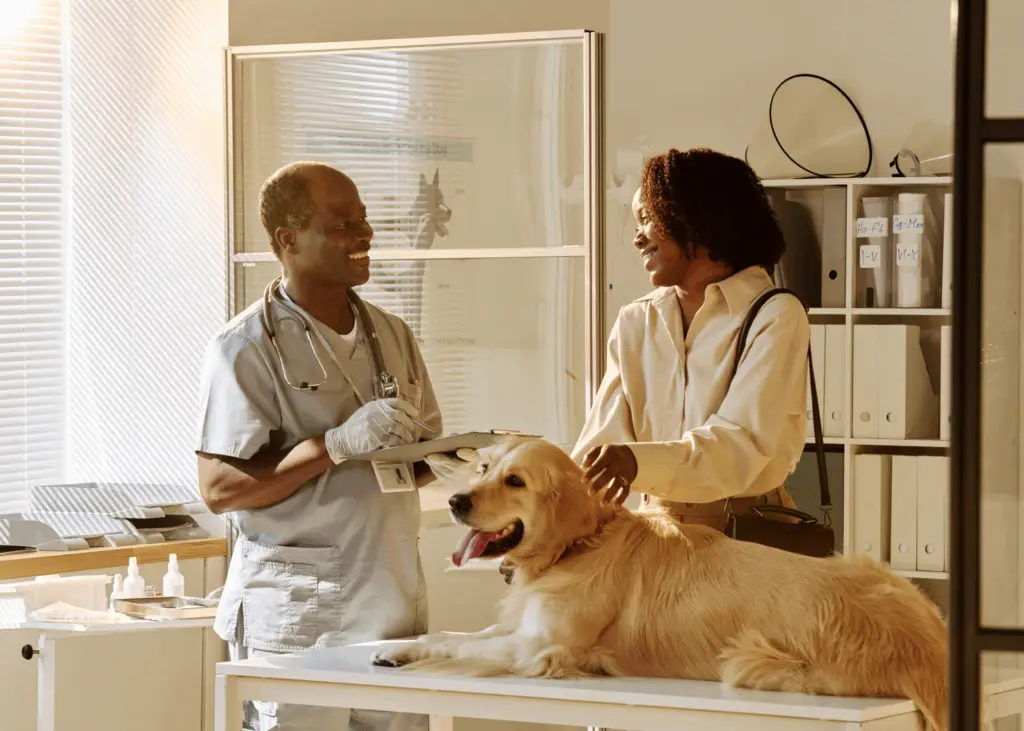 Veterinarians using Sprout Pay